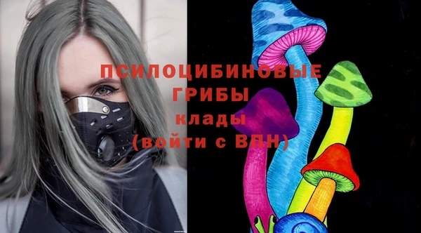 СК Богданович